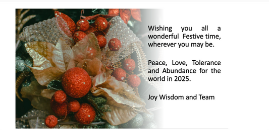 Christmas News Letter from Joy Wisdom & Allonus team