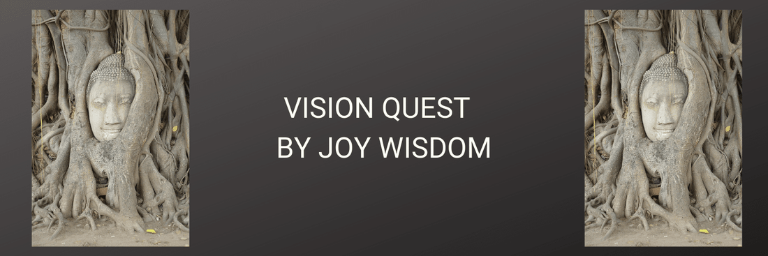 Vision Quest  By Joy Wisdom